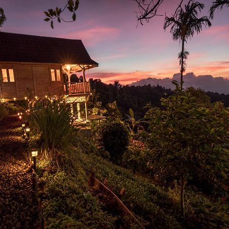 Bed and Breakfast Garden Terrace Bali Gobleg  Екстер'єр фото