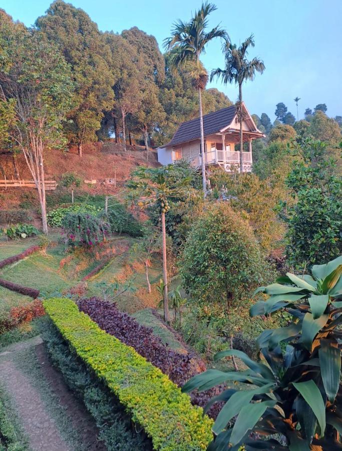 Bed and Breakfast Garden Terrace Bali Gobleg  Екстер'єр фото
