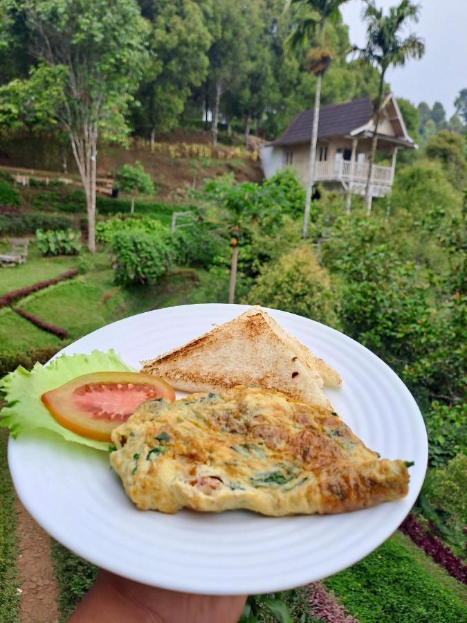 Bed and Breakfast Garden Terrace Bali Gobleg  Екстер'єр фото