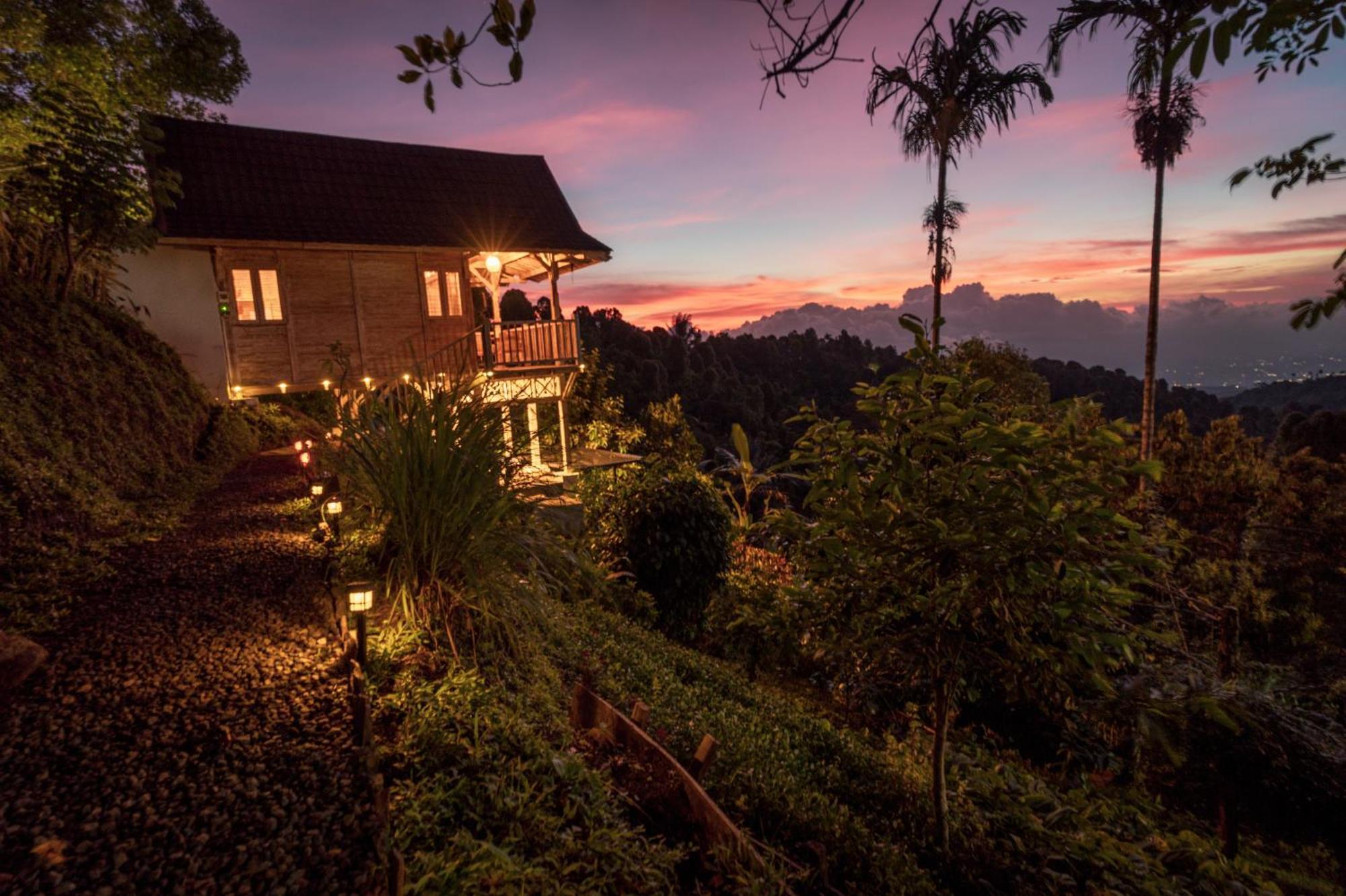 Bed and Breakfast Garden Terrace Bali Gobleg  Екстер'єр фото