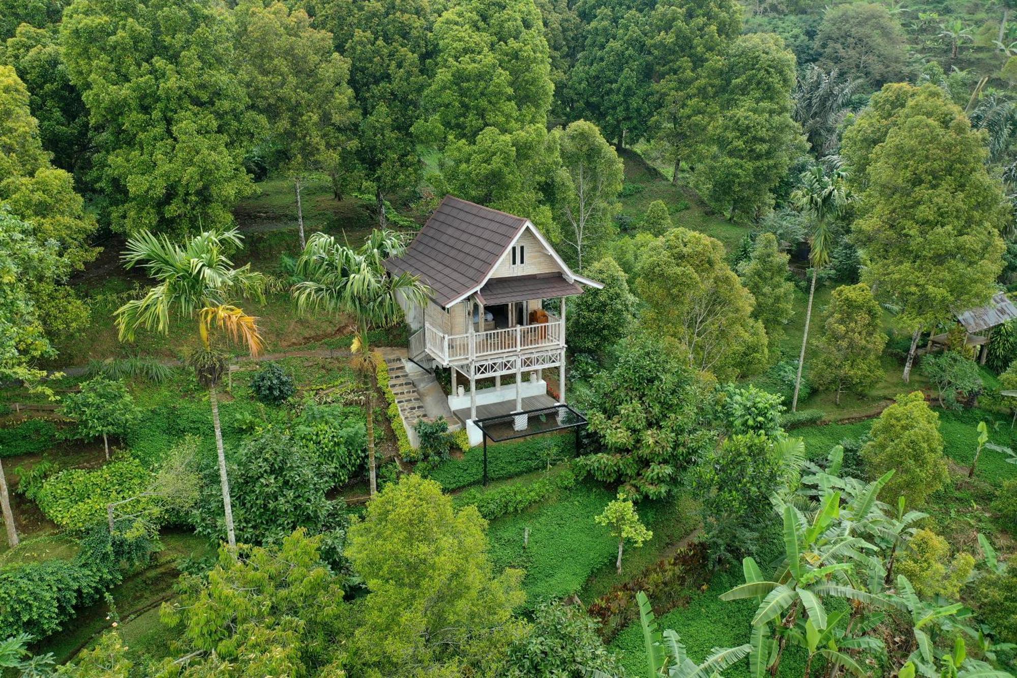 Bed and Breakfast Garden Terrace Bali Gobleg  Екстер'єр фото