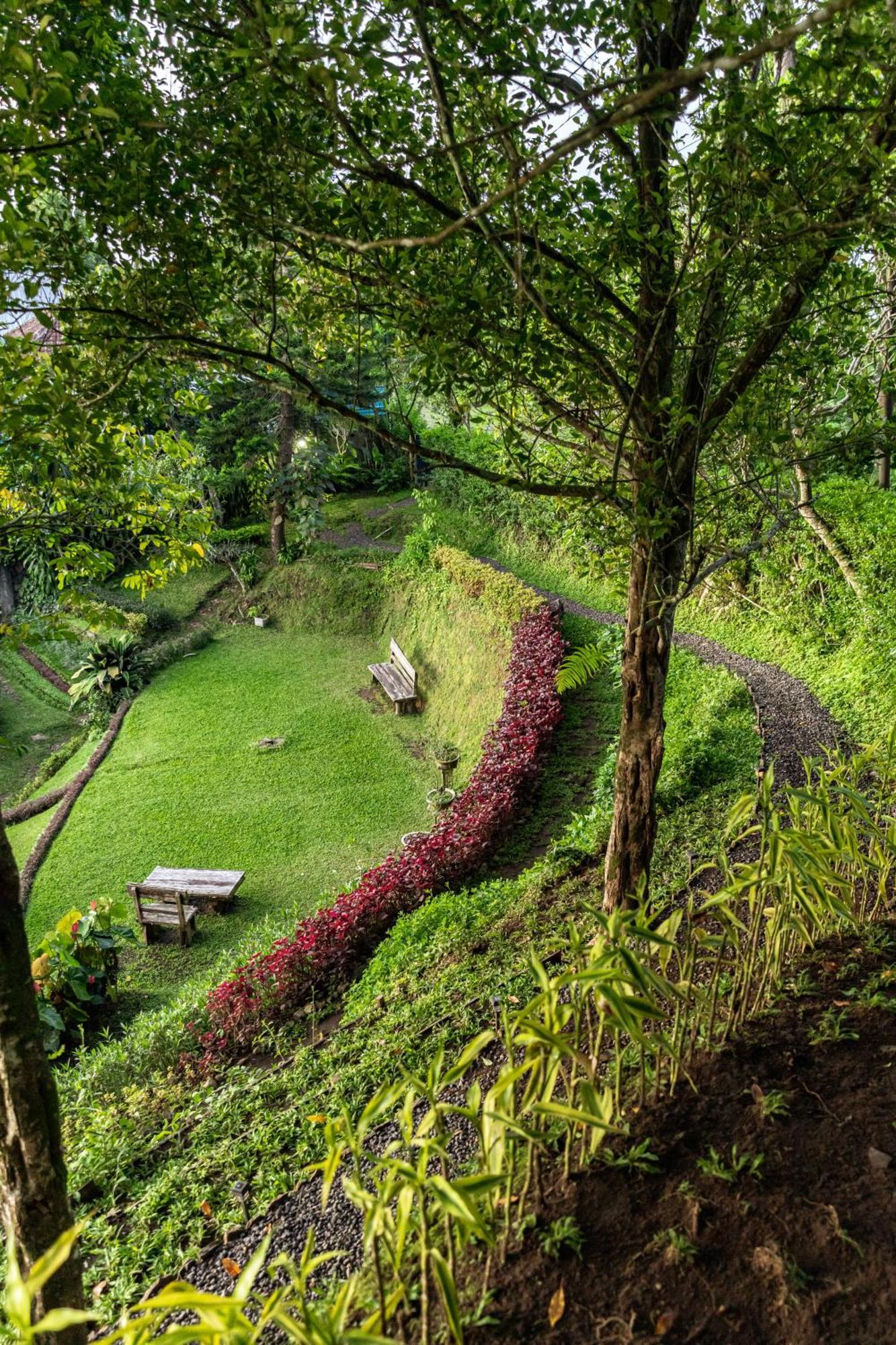 Bed and Breakfast Garden Terrace Bali Gobleg  Екстер'єр фото