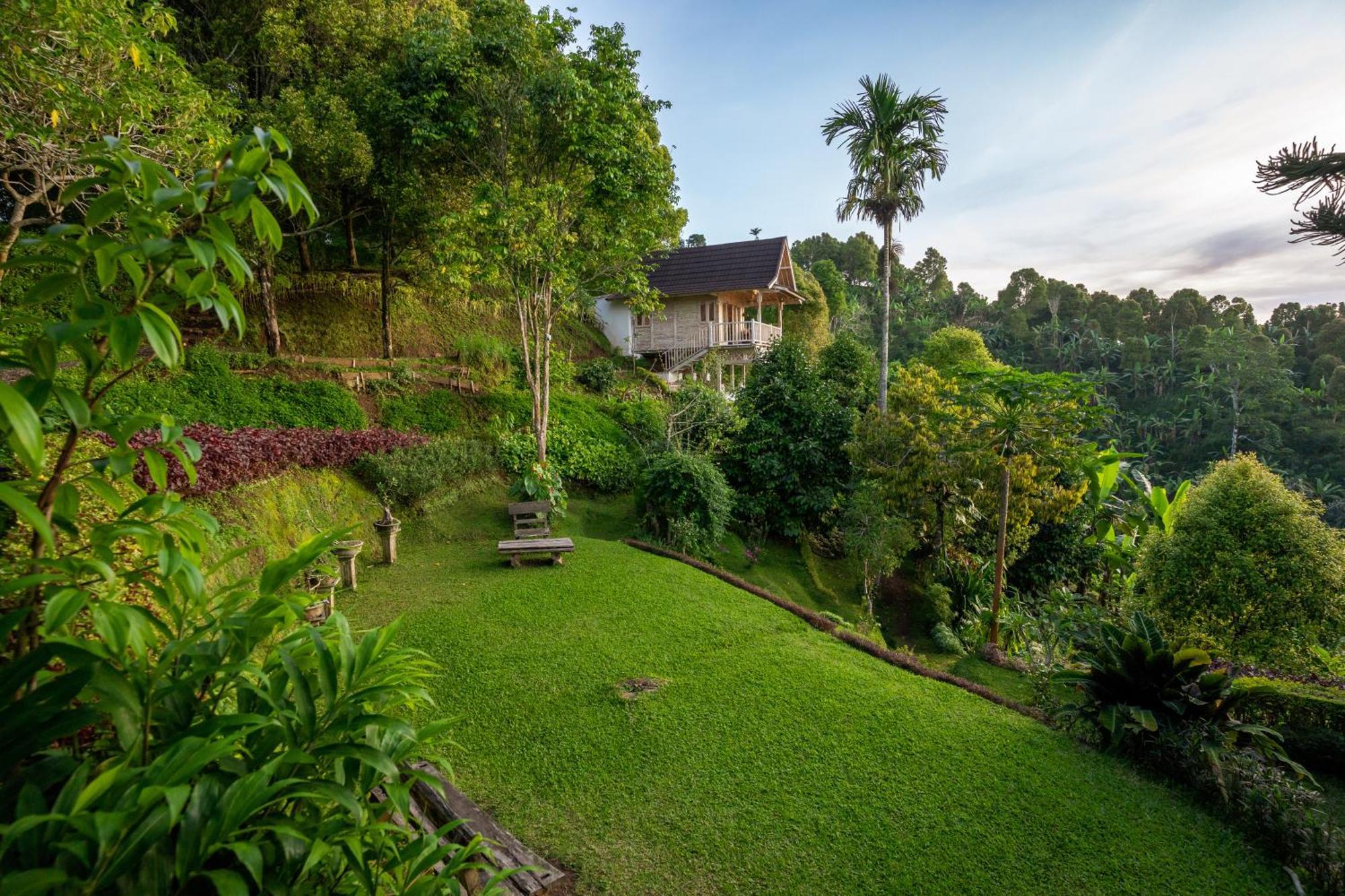 Bed and Breakfast Garden Terrace Bali Gobleg  Екстер'єр фото