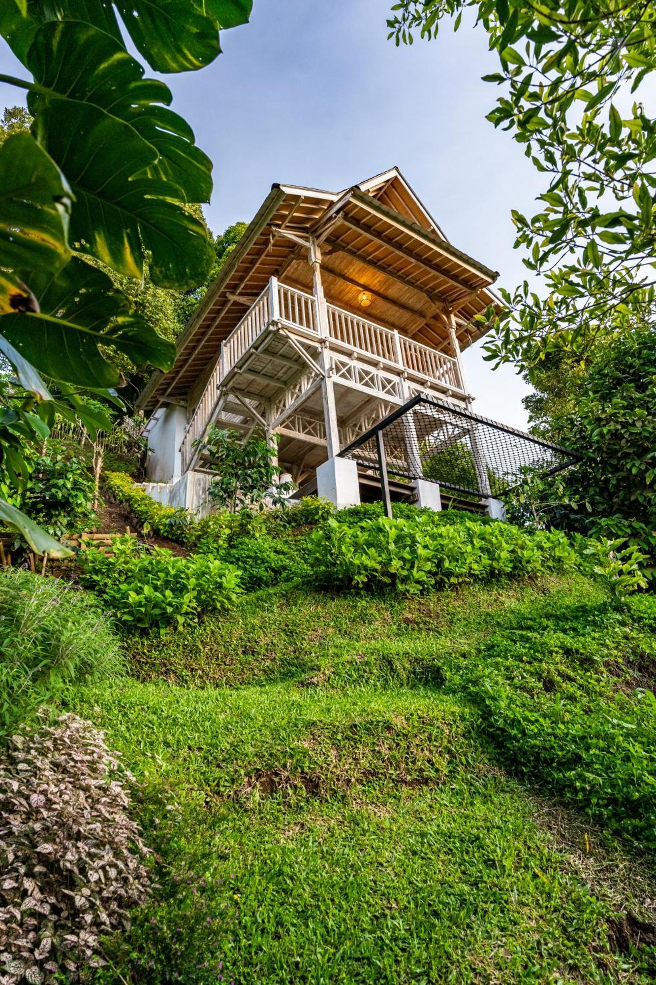 Bed and Breakfast Garden Terrace Bali Gobleg  Екстер'єр фото