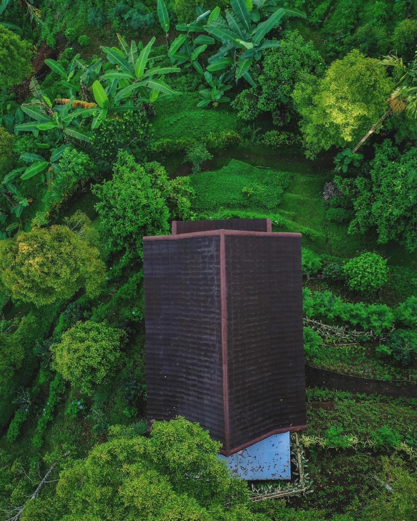 Bed and Breakfast Garden Terrace Bali Gobleg  Екстер'єр фото