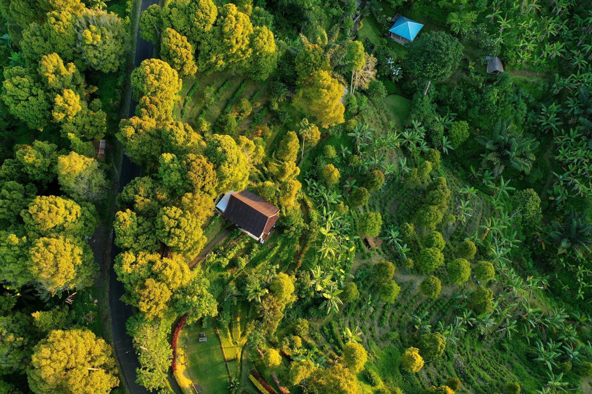 Bed and Breakfast Garden Terrace Bali Gobleg  Екстер'єр фото